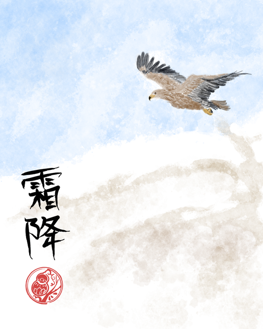Shuang Jiang: From Gathering To Storing